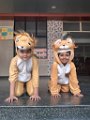(25)