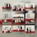 (3)